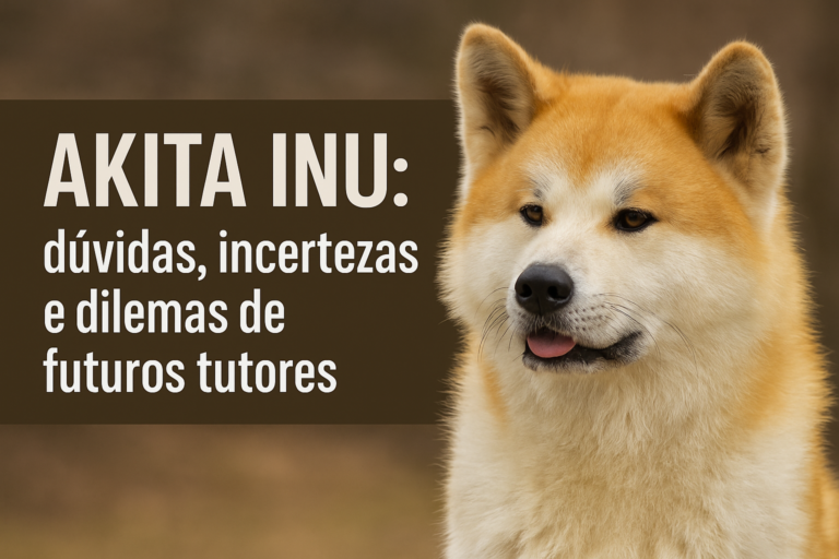Akita Inu: dúvidas, incertezas e dilemas de futuros tutores